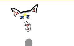 which mistclan cat are you which mistclan cat are you