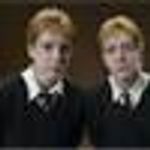 are u a muggel born, pure blood or half blood are u a muggel born, pure blood or half blood