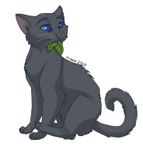 Warrior cats: Which medicine cat are you? Warrior cats: Which medicine cat are you?