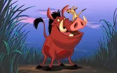 Are you hakuna matata ( it means you have no worries ) Are you hakuna matata ( it means you have no worries )