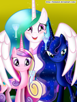 what my little pony: friendship is magic, princess are you what my little pony: friendship is magic, princess are you