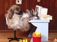 What job should you have? (1) What job should you have? (1)