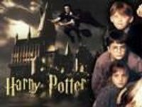 Do you love Harry Potter? Do you love Harry Potter?
