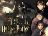 Do you love Harry Potter? Do you love Harry Potter?