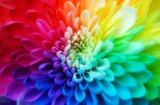 What is your color? What is your color?