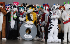 Are You a Furry? Are You a Furry?