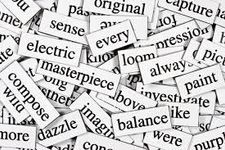 Basic Vocabulary Quiz Basic Vocabulary Quiz