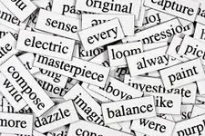 Basic Vocabulary Quiz Basic Vocabulary Quiz