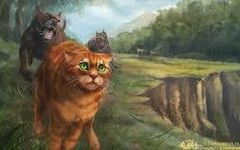 How much do you know about Firestar? How much do you know about Firestar?