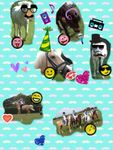 What do you know about horses? What do you know about horses?