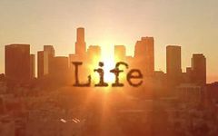 Do you love the life? Do you love the life?