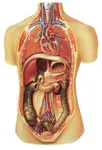 grade 10 biology quiz