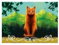 How well do you know Warriors? (first Series) How well do you know Warriors? (first Series)