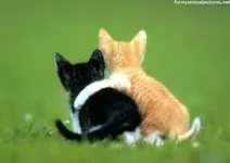 what kind of friend are you? (1) what kind of friend are you? (1)