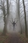 Will Slenderman Kill You If You Were Lost In The Woods At Night? Will Slenderman Kill You If You Were Lost In The Woods At Night?