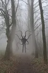 Will Slenderman Kill You If You Were Lost In The Woods At Night? Will Slenderman Kill You If You Were Lost In The Woods At Night?