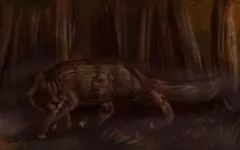 Which Dark Forest warrior are you? Which Dark Forest warrior are you?