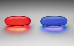 Red Personality Test Red Personality Test