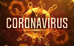 Should YOU be afraid of the coronavirus Should YOU be afraid of the coronavirus