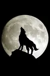 Which one of my wolves are you? Which one of my wolves are you?
