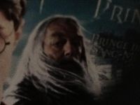 What do the Harry Potter cast think of you? What do the Harry Potter cast think of you?