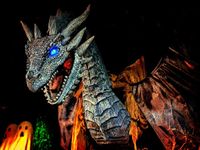 Which Dragon Are You? (3) Which Dragon Are You? (3)