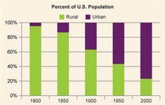 The Urbanization Quiz The Urbanization Quiz