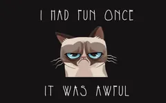 Which Cat? Which Cat?