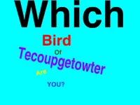 Which Tecoup Bird are you? Which Tecoup Bird are you?