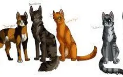 Which chosen cat are you from the new prophecy Which chosen cat are you from the new prophecy