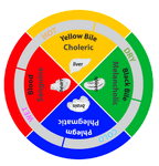 The Four Humors The Four Humors
