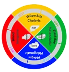 The Four Humors The Four Humors