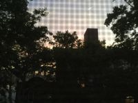 How much do you know about nature? How much do you know about nature?