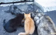 How you can do? How you can do?