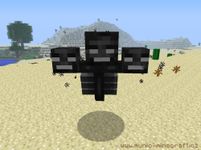 Do you know the Wither? Do you know the Wither?