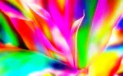 What Color Are You? (15) What Color Are You? (15)