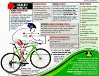 Biking Benefits Quiz (1) Biking Benefits Quiz (1)