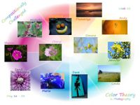 Discover Your Complementary Color Personality Discover Your Complementary Color Personality