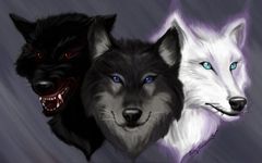 What kind of wolf are you? (3) What kind of wolf are you? (3)