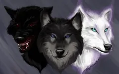 What kind of wolf are you? (3) What kind of wolf are you? (3)