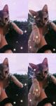 Am I cute ? Am I cute ?