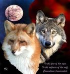 are you more fox or wolf? :) are you more fox or wolf? :)