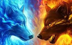 What rank in a wolf pack are you? part2 What rank in a wolf pack are you? part2