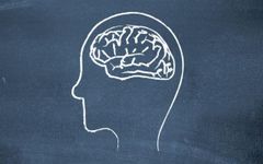 Intelligence quiz (3) Intelligence quiz (3)