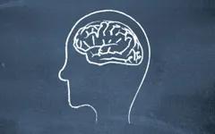 Intelligence quiz (3) Intelligence quiz (3)
