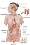 Physiology Quiz Physiology Quiz