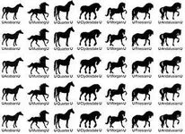 Find your dream horse in 10 questions Find your dream horse in 10 questions