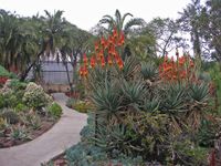 Botany Quiz Botany Quiz