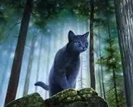 Could you survive being a warrior cat? Could you survive being a warrior cat?