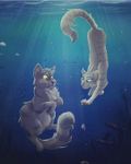 How well do you know Warrior cats? :3 How well do you know Warrior cats? :3
